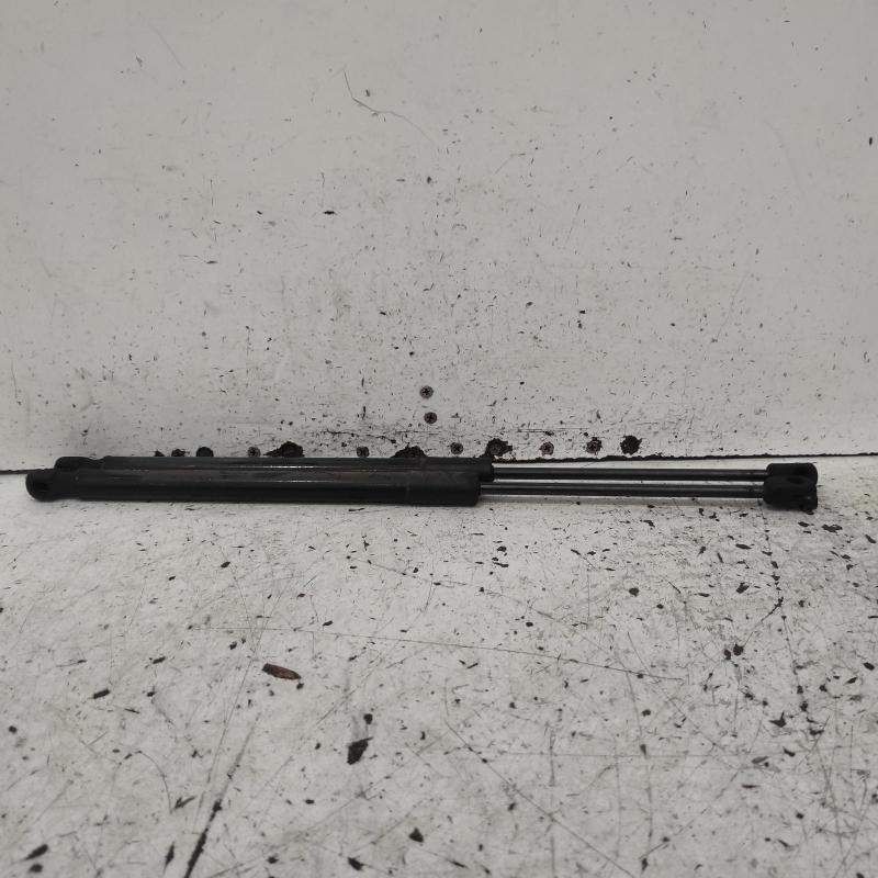 hatch strut
