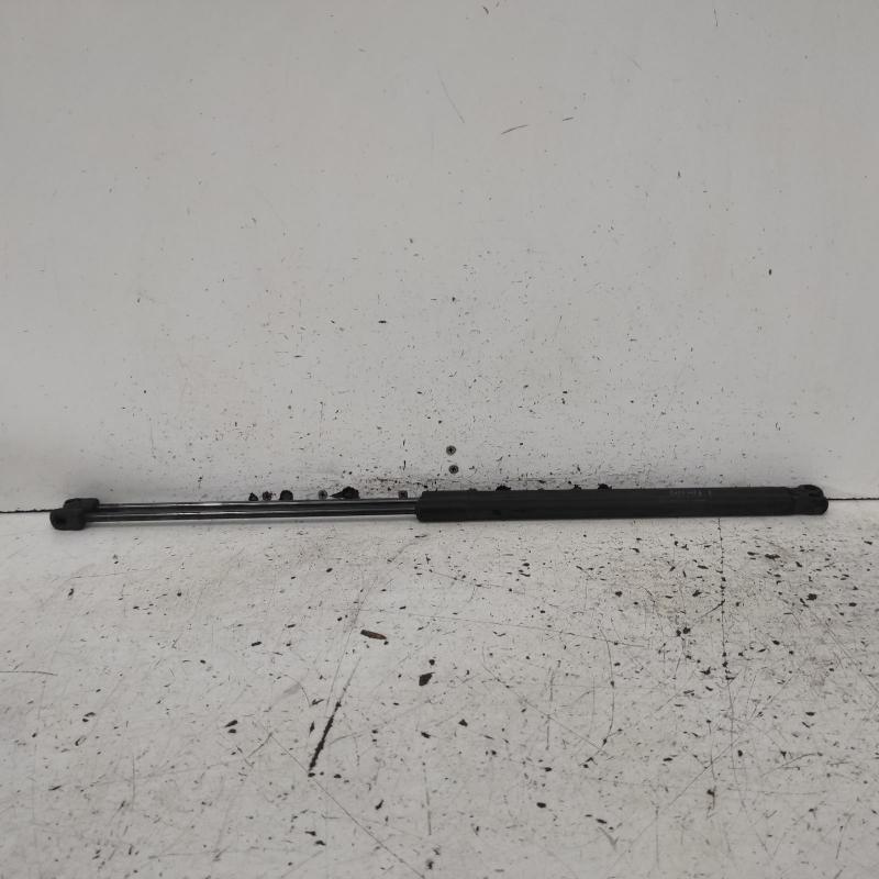 bonnet hinge/strut