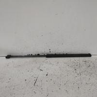 bonnet hinge/strut