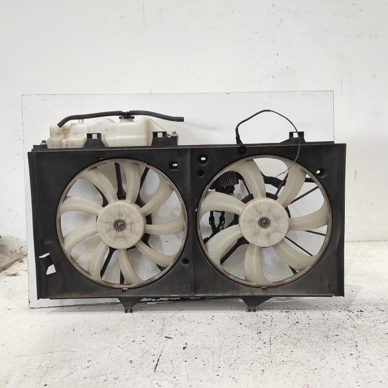 fan