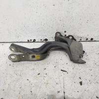 bonnet hinge/strut