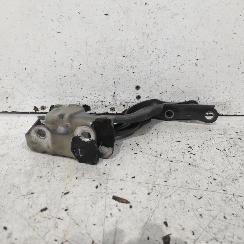 bonnet hinge/strut