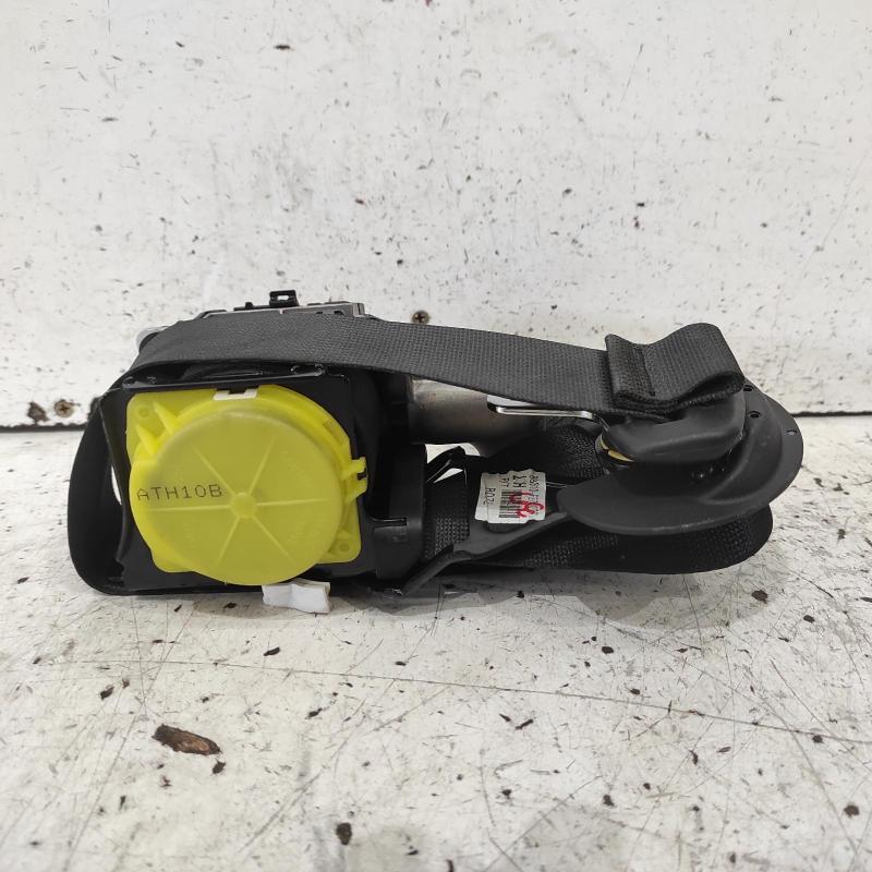 seat belt stalk