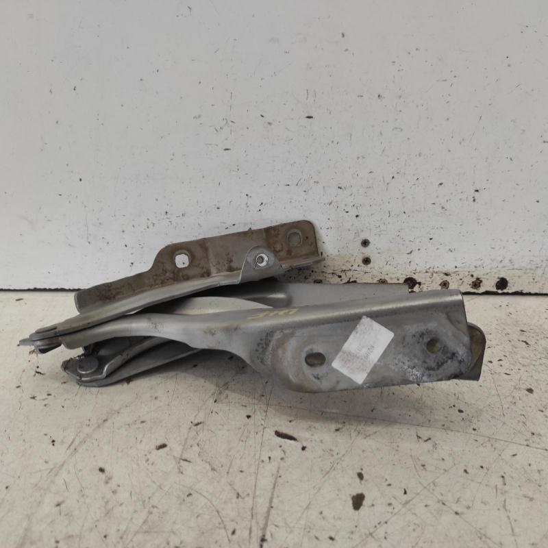 bonnet hinge/strut