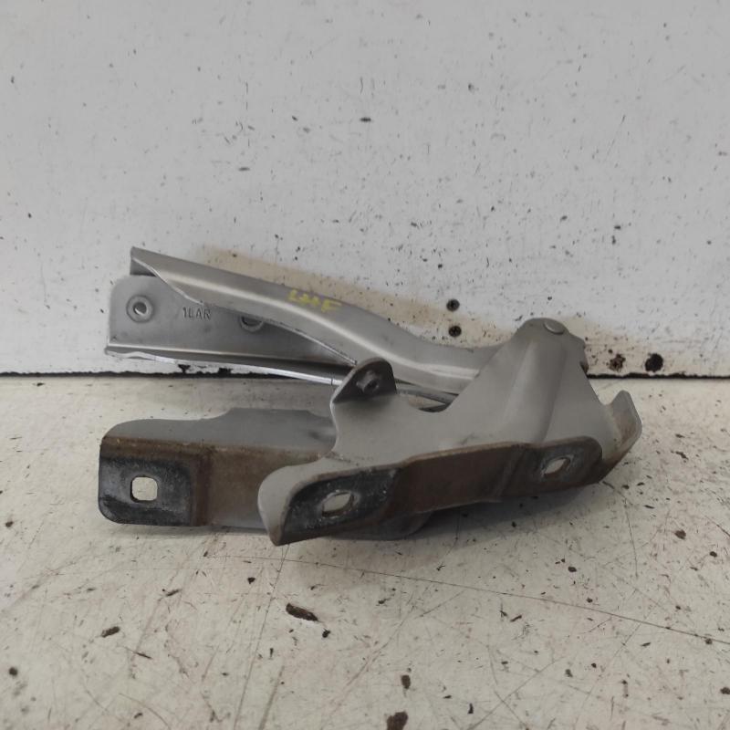bonnet hinge/strut