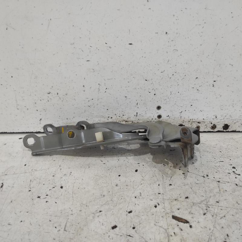 bonnet hinge/strut
