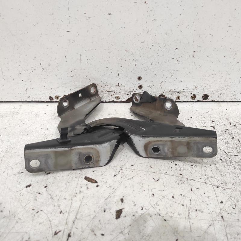 bonnet hinge/strut