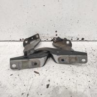 bonnet hinge/strut