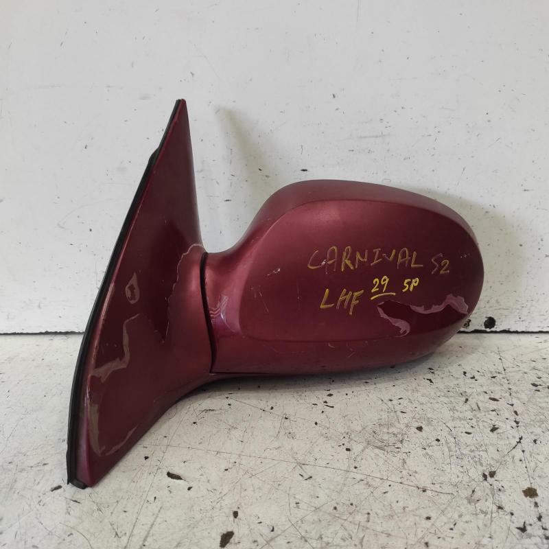 door mirror left