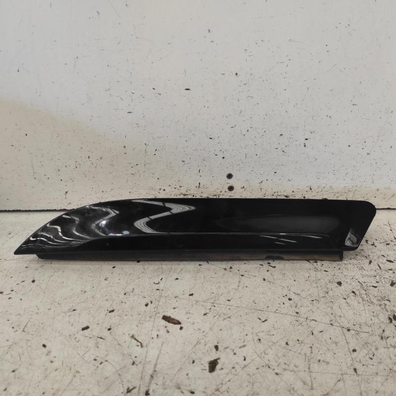 body/door mould