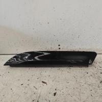 body/door mould