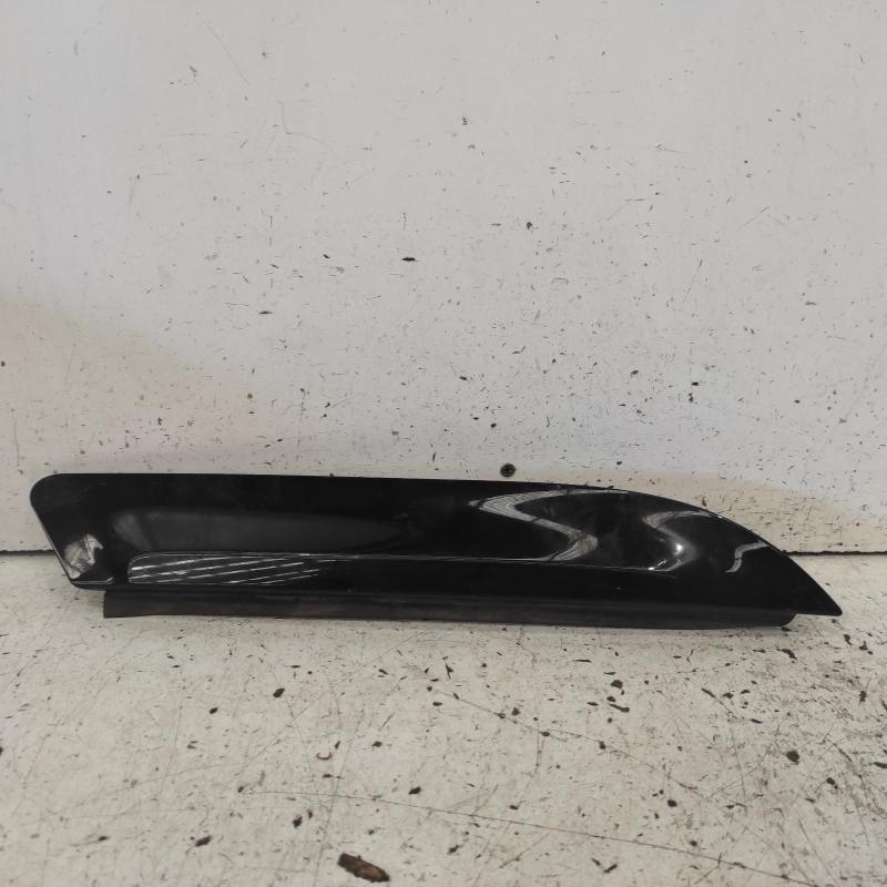 body/door mould