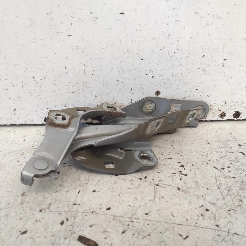 bonnet hinge/strut