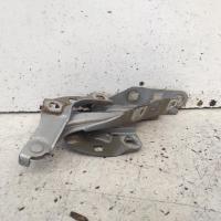 bonnet hinge/strut