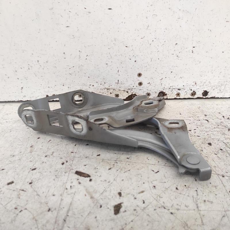 bonnet hinge/strut