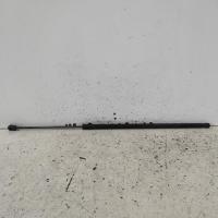 bonnet hinge/strut