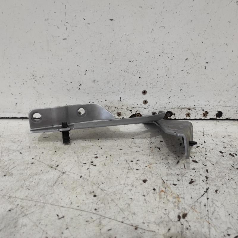 bonnet hinge/strut
