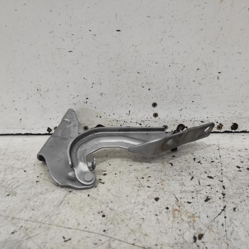 bonnet hinge/strut