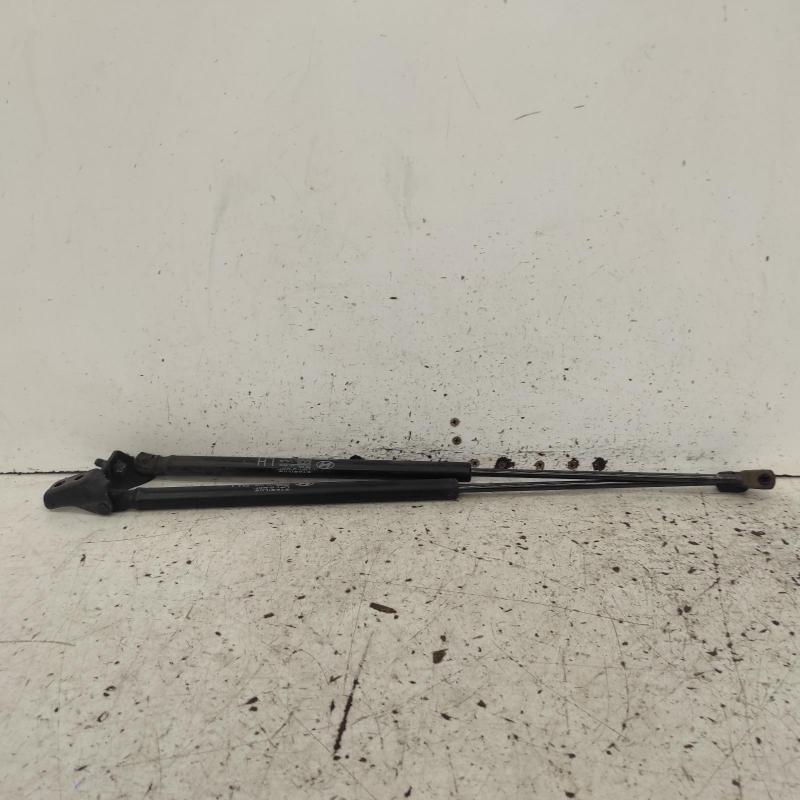 hatch strut