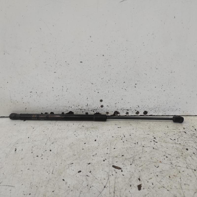 hatch strut