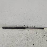 hatch strut