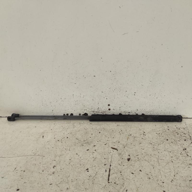 bonnet hinge/strut