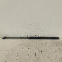 bonnet hinge/strut