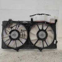 fan
