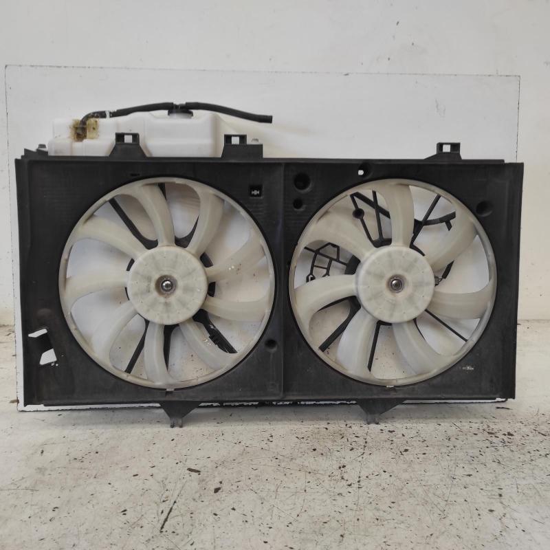 fan