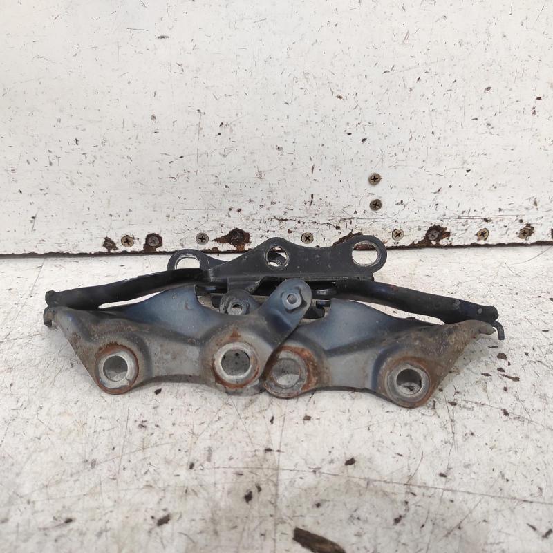 bonnet hinge/strut