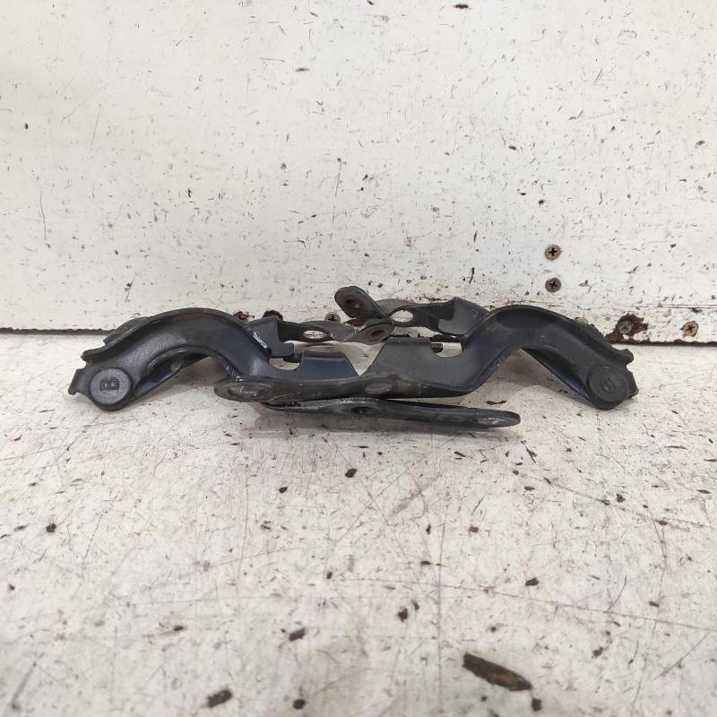 bonnet hinge/strut