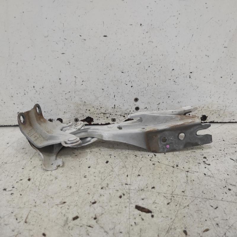 bonnet hinge/strut