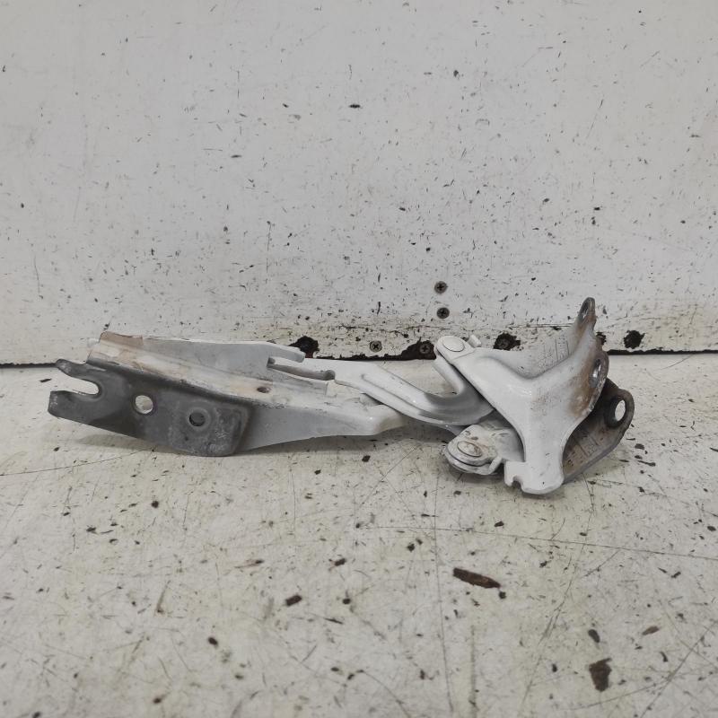 bonnet hinge/strut