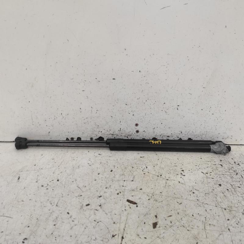 bonnet hinge/strut