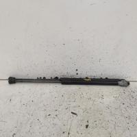 bonnet hinge/strut