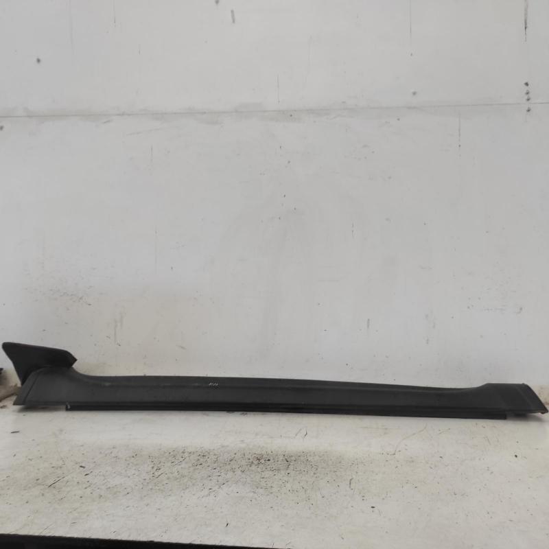 body/door mould
