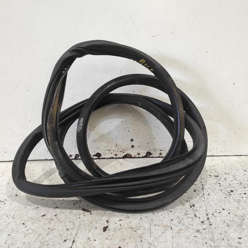 body seal ruber