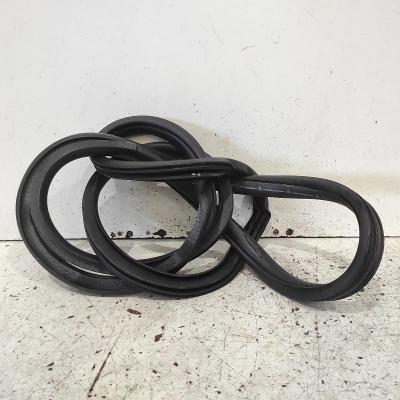 body seal ruber