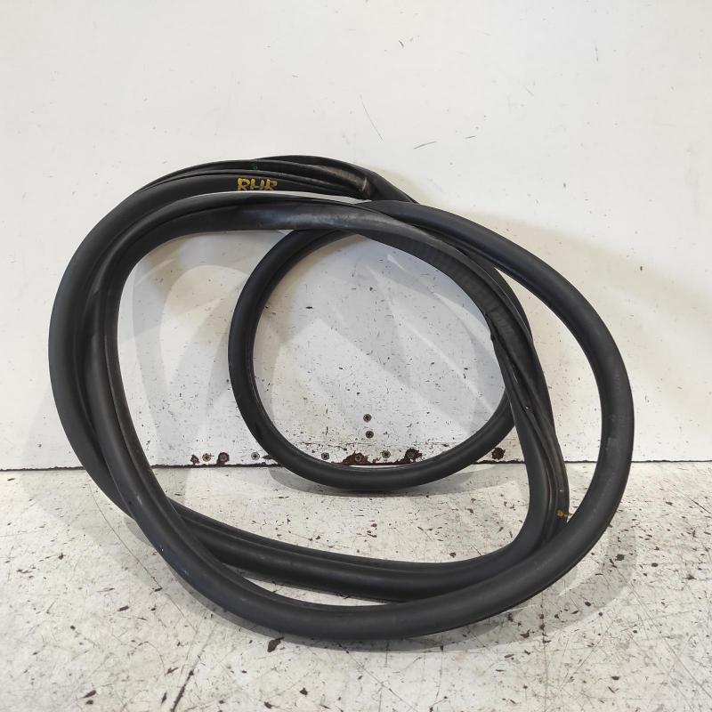 body seal ruber