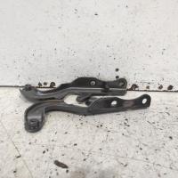 bonnet hinge/strut