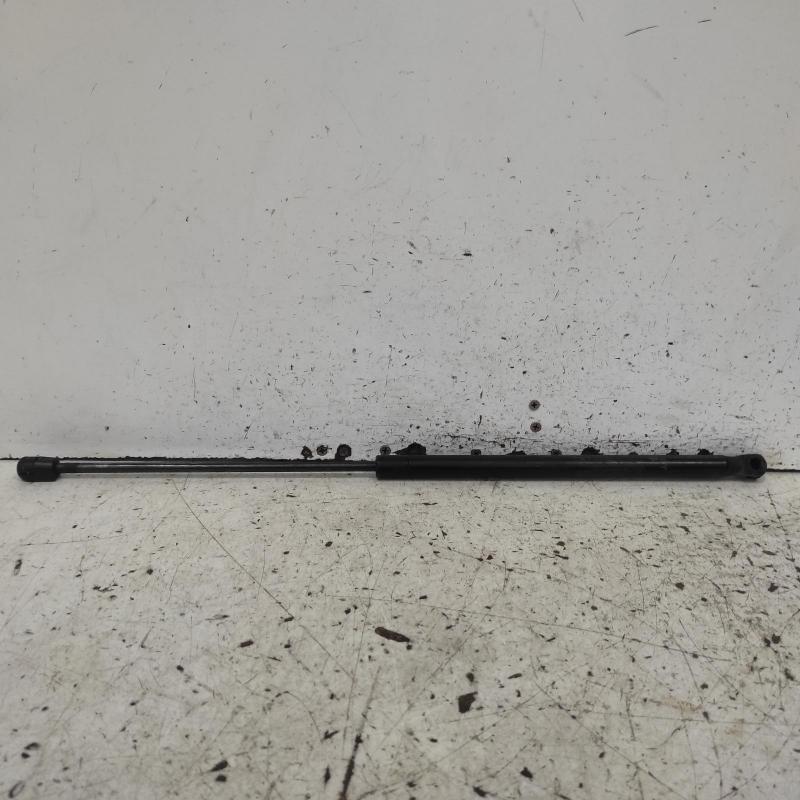 bonnet hinge/strut