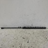 bonnet hinge/strut