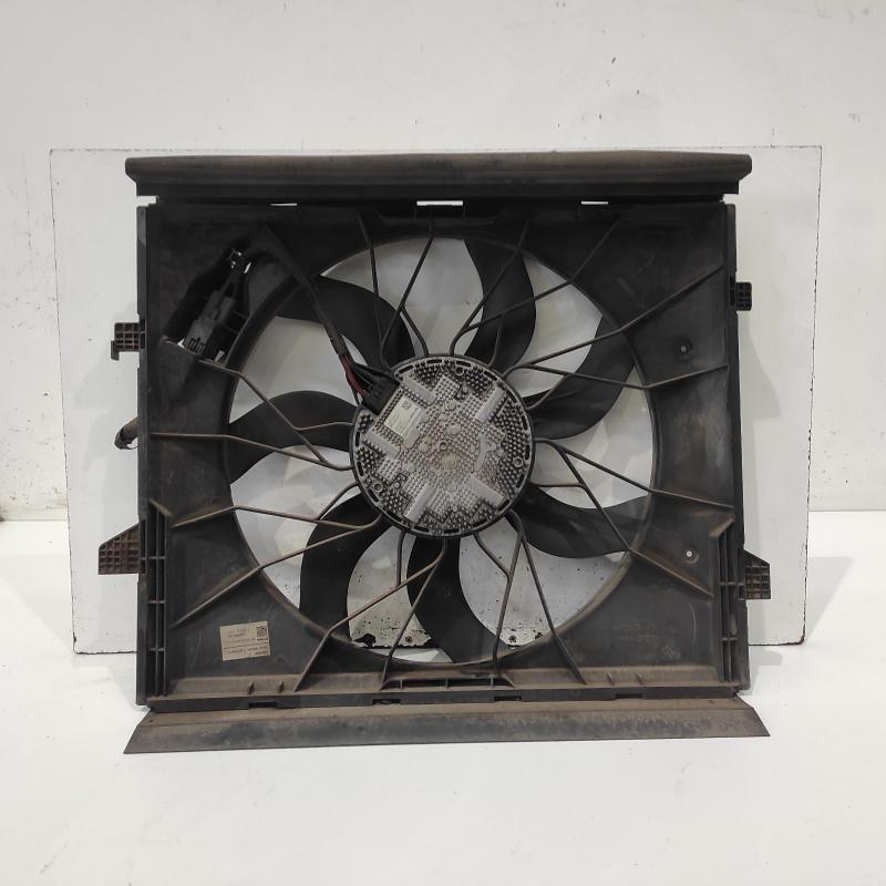 fan