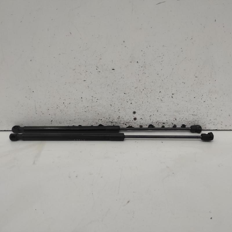 hatch strut