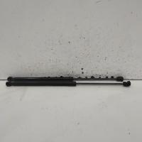 hatch strut