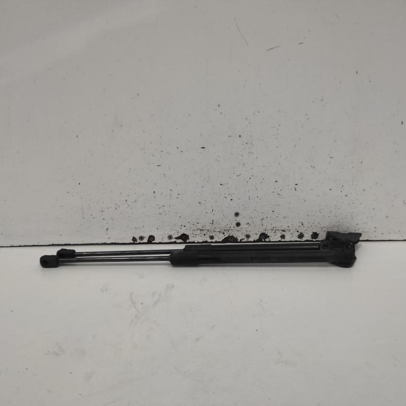 hatch strut