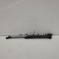 hatch strut