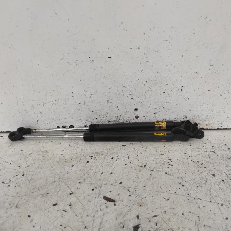 hatch strut
