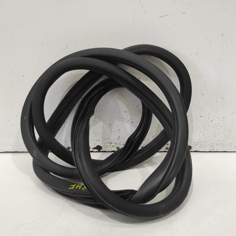 body seal ruber