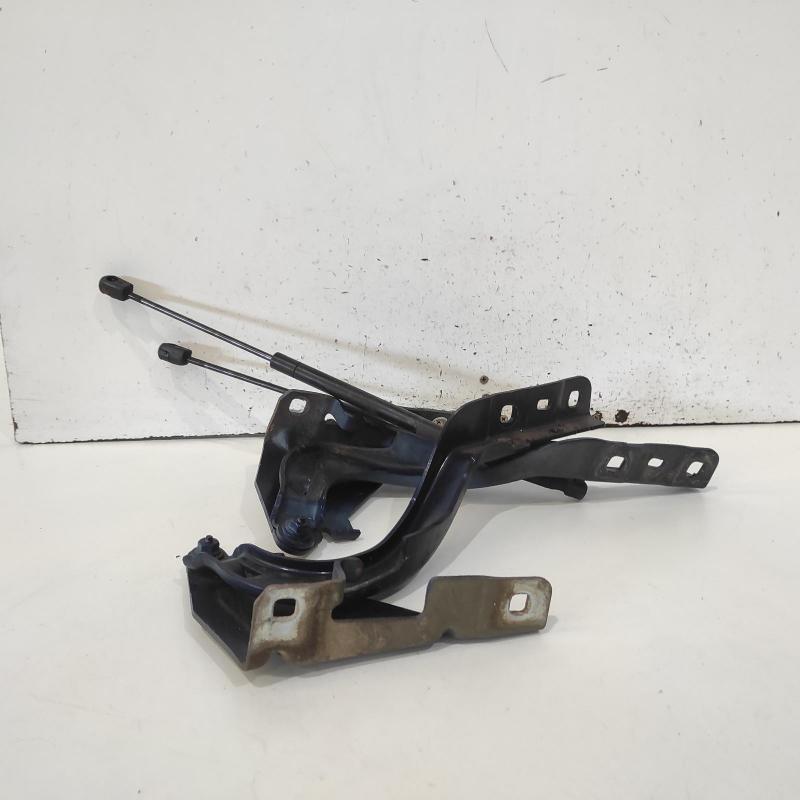 bonnet hinge/strut